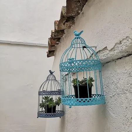 Casa El Tratado, Situada En El Casco Historico Con Patio Privado Villa Tordesillas Exterior photo